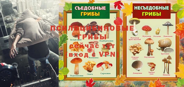 ALPHA PVP Алексин