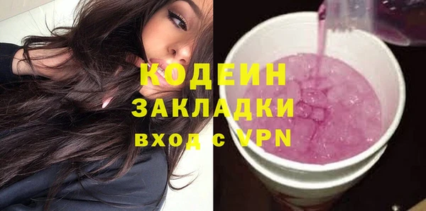 хмурый Арсеньев