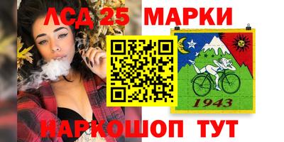 гашик Нальчик