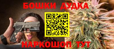 гашик Нальчик
