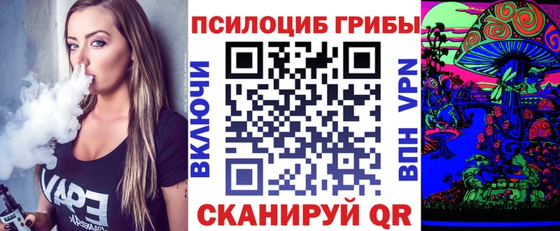 omg как войти  Тулун  Псилоцибиновые грибы Cubensis 
